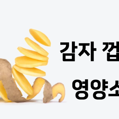 감자 껍질 영양소 창의적인 활용 방법