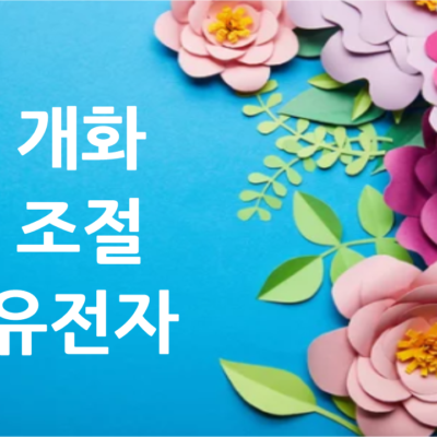 식물이 언제 꽃 피울지 결정하는, 개화 조절 유전자
