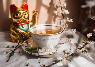 피규어 먼지 해결 – 일본 피규어 장식장 카페 이야기