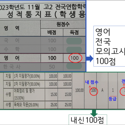 초등 파닉스 교재 추천 (내신 및 전국모의고사 100점 맞은 사연)
