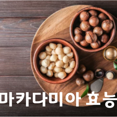 마카다미아 효능 (+먹는법, 주의할 점)
