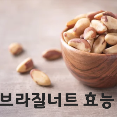 브라질너트 효능 제대로 따져보기